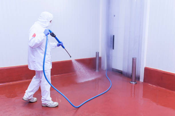 Professional Pressure Washing Services in Raubsville, PA
